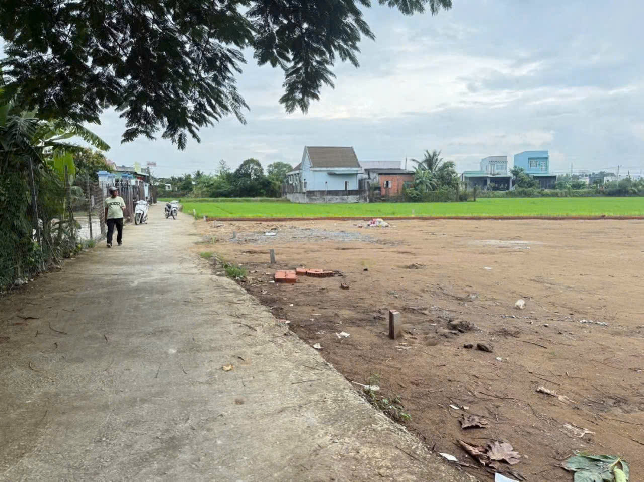 Bán 5 lô đất thổ cư đường beton 3,2m xã Mỹ Yên , Bến Lức dt 160m2 giá 1,5 tỷ 1 lô 2