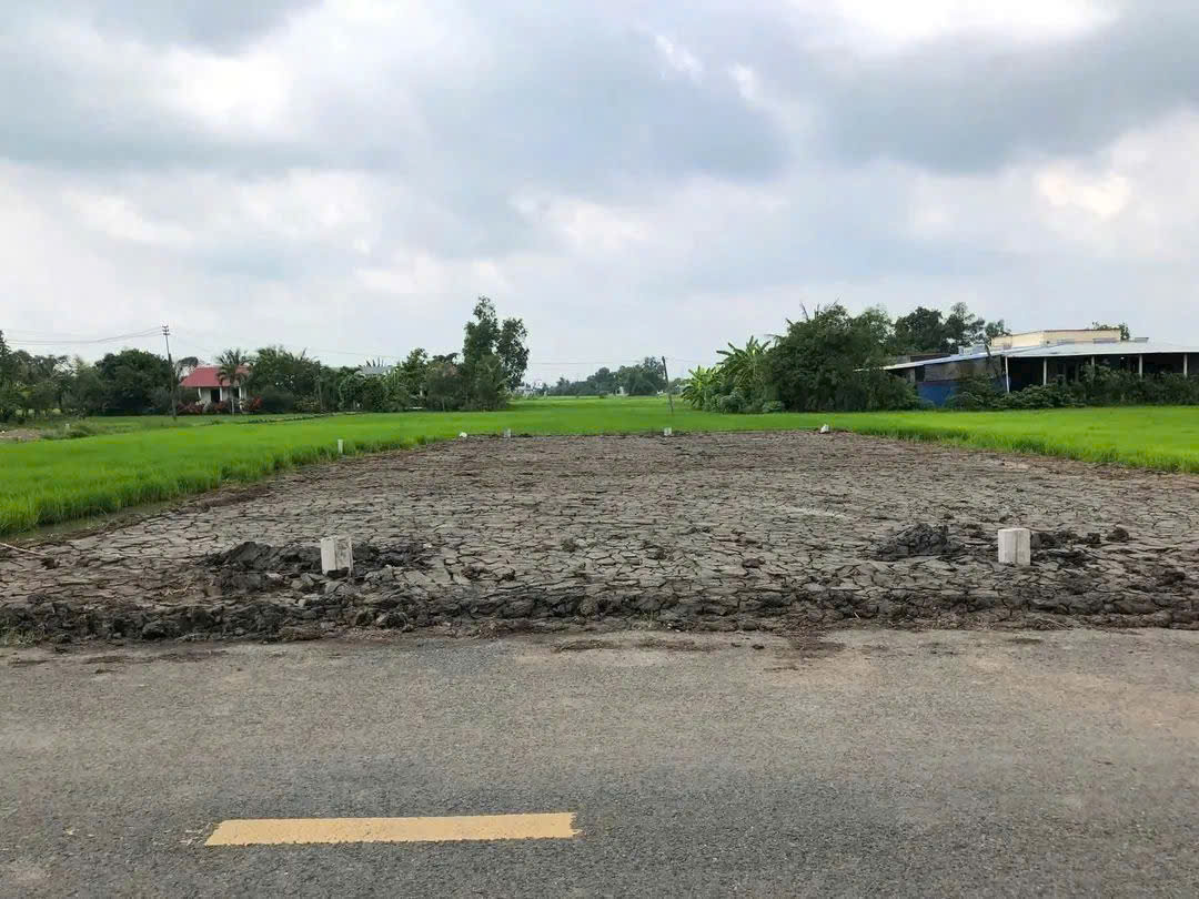 Bán 2 lô thổ cư mặt tiền Nguyễn Quang Đại , xã Mỹ Lệ dt 125 m2 giá 1,2 tỷ 1 lô 2