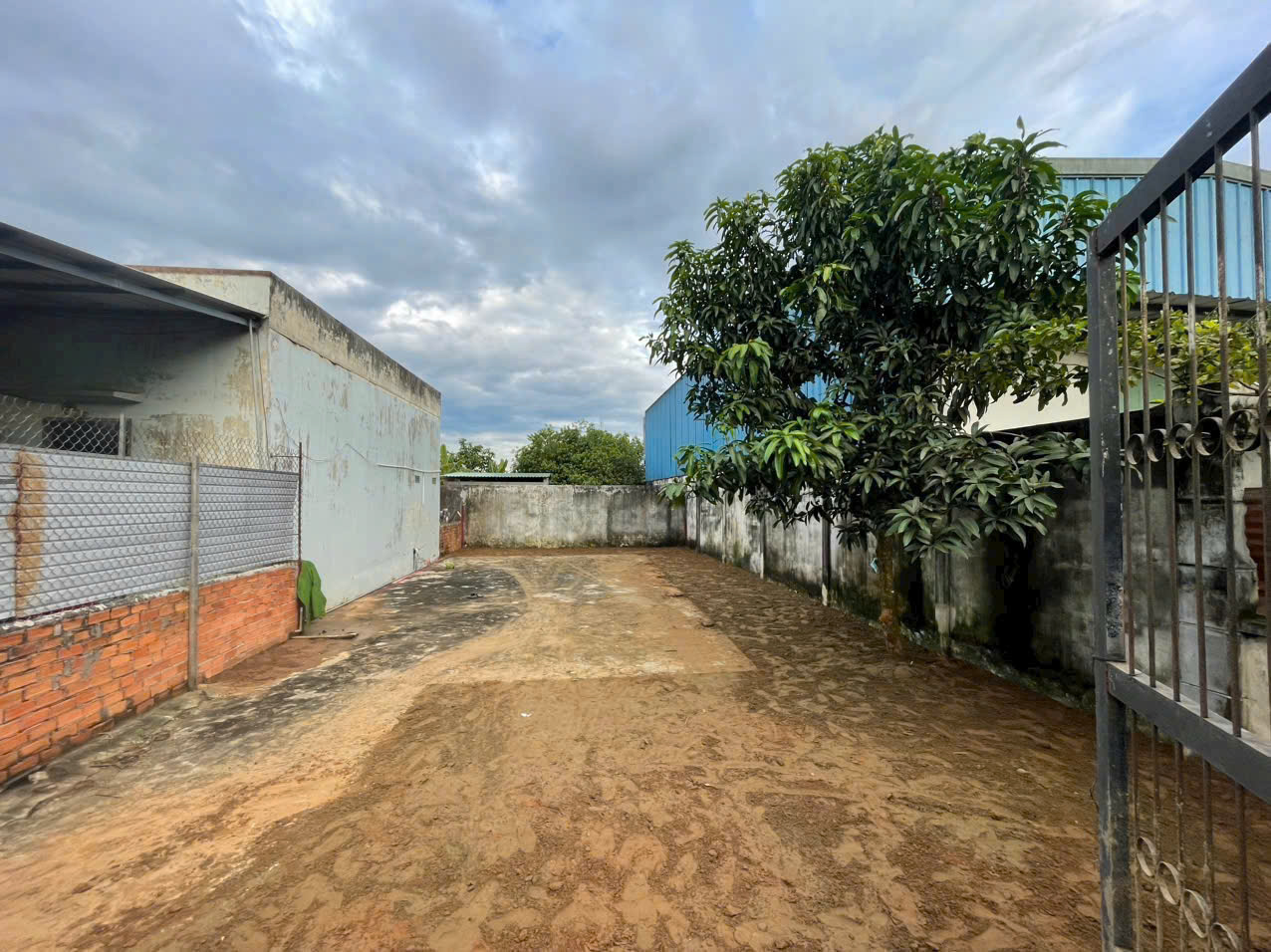 Bán đất thổ cư mt đường nhựa ĐH7 , xã Nhị Thành, Thủ Thừa dt 153m2 giá 1,75 tỷ 2