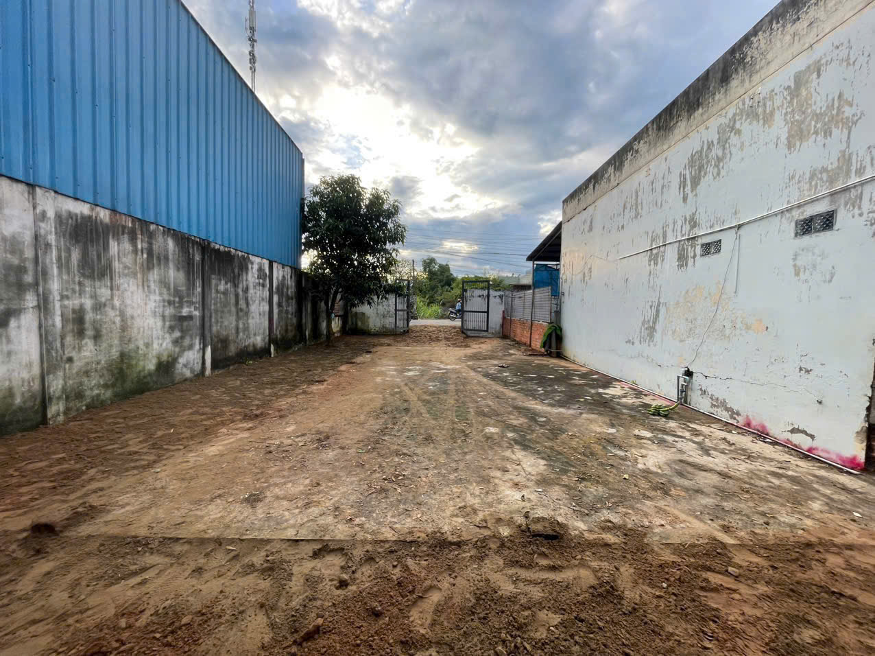 Bán đất thổ cư mt đường nhựa ĐH7 , xã Nhị Thành, Thủ Thừa dt 153m2 giá 1,75 tỷ 3