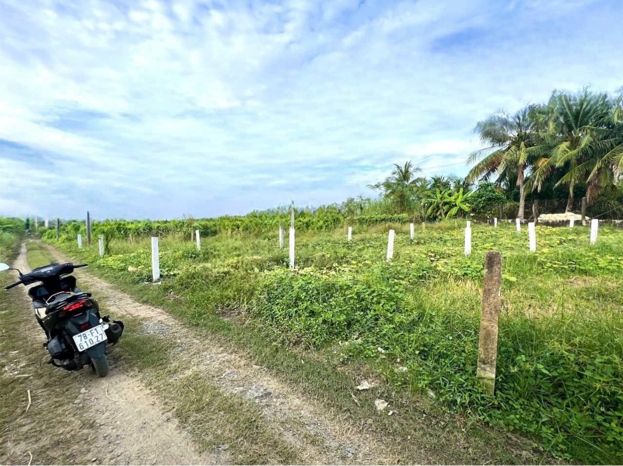 Bán nền thổ cư đường đá xanh 3,5m , xã Quê Mỹ Thạnh , Tân Trụ dt 123m2 giá 380 triệu