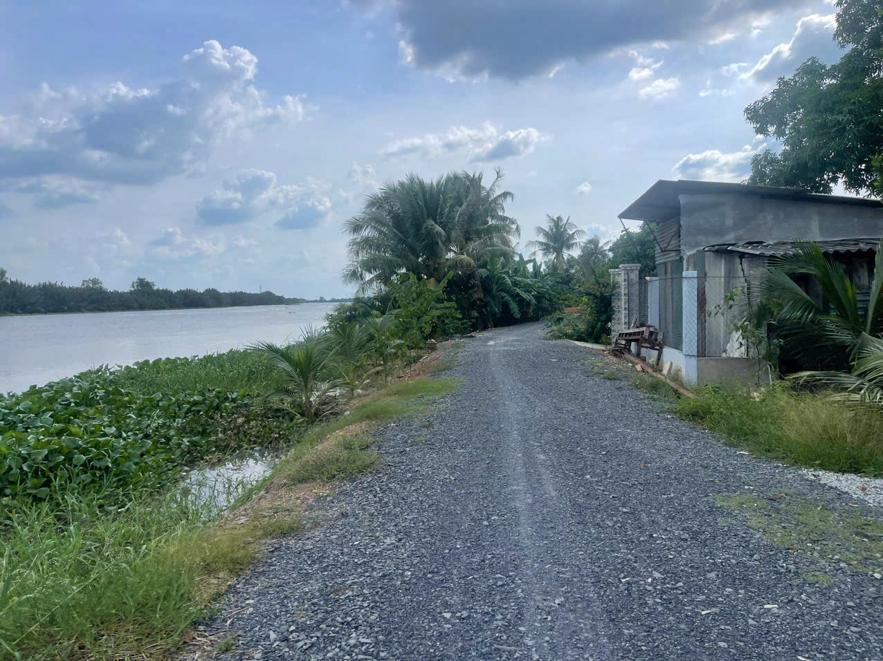 Bán đất mt sông Vàm Cỏ Đông , xã Thạnh Lợi tdt 2833m2 ( có 300m2 thổ ) giá 5,3 tỷ