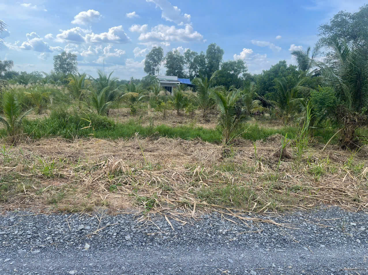 Bán đất mt sông Vàm Cỏ Đông , xã Thạnh Lợi tdt 2833m2 ( có 300m2 thổ ) giá 5,3 tỷ 3