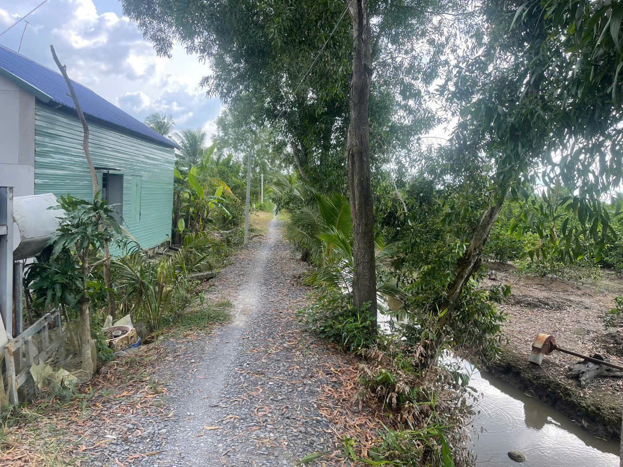 Bán đất mt sông Vàm Cỏ Đông , xã Thạnh Lợi tdt 2833m2 ( có 300m2 thổ ) giá 5,3 tỷ 5