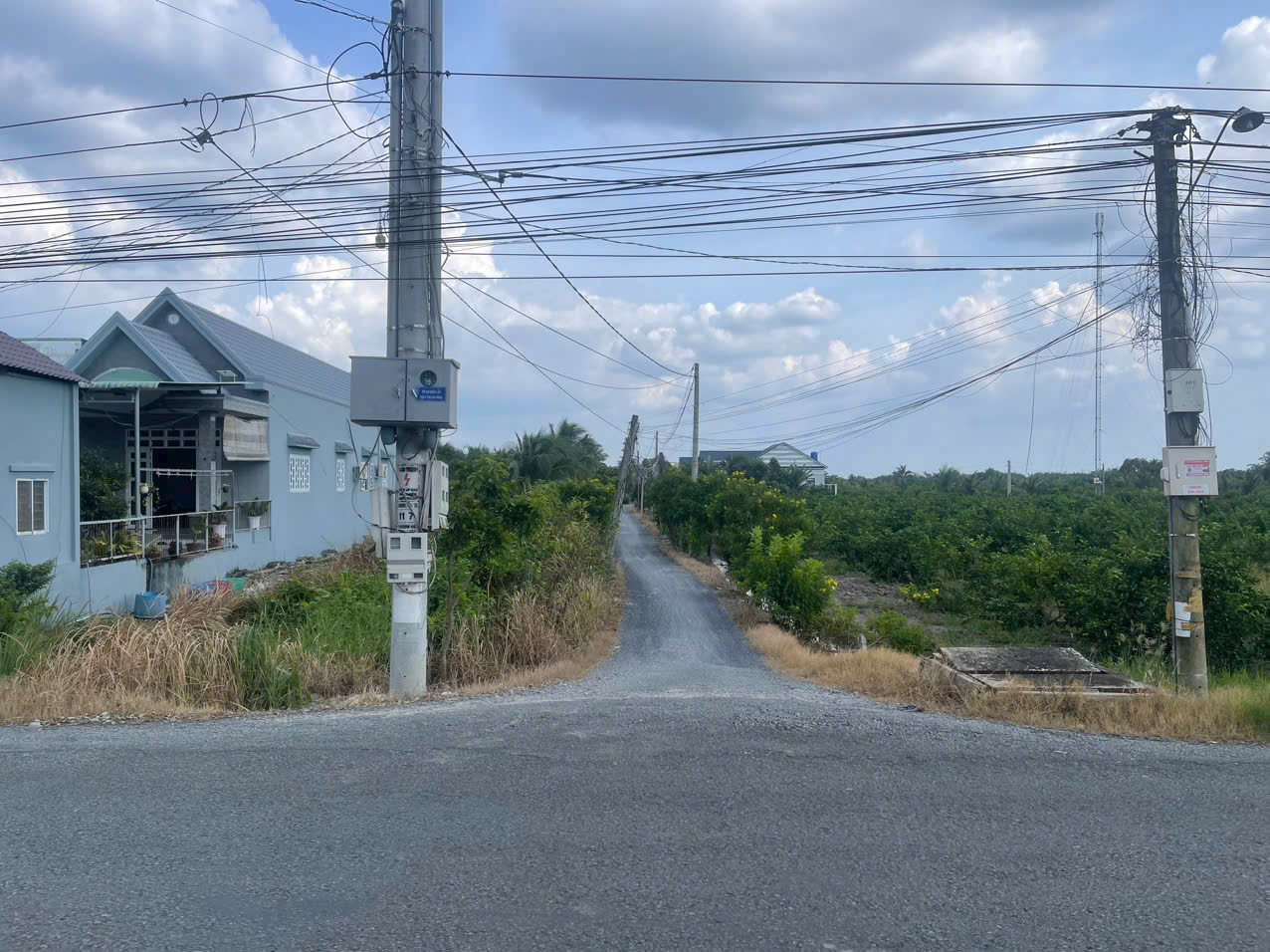 Bán đất mt sông Vàm Cỏ Đông , xã Thạnh Lợi tdt 2833m2 ( có 300m2 thổ ) giá 5,3 tỷ 8