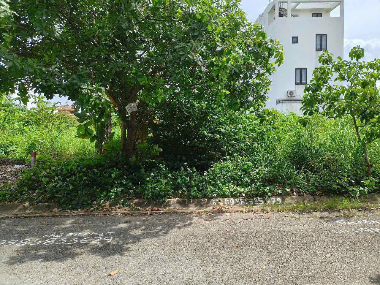 Cần bán Đất Phường Thạnh Mỹ Lợi, Quận 2, Diện tích 129m², Giá 20.7 Tỷ 5