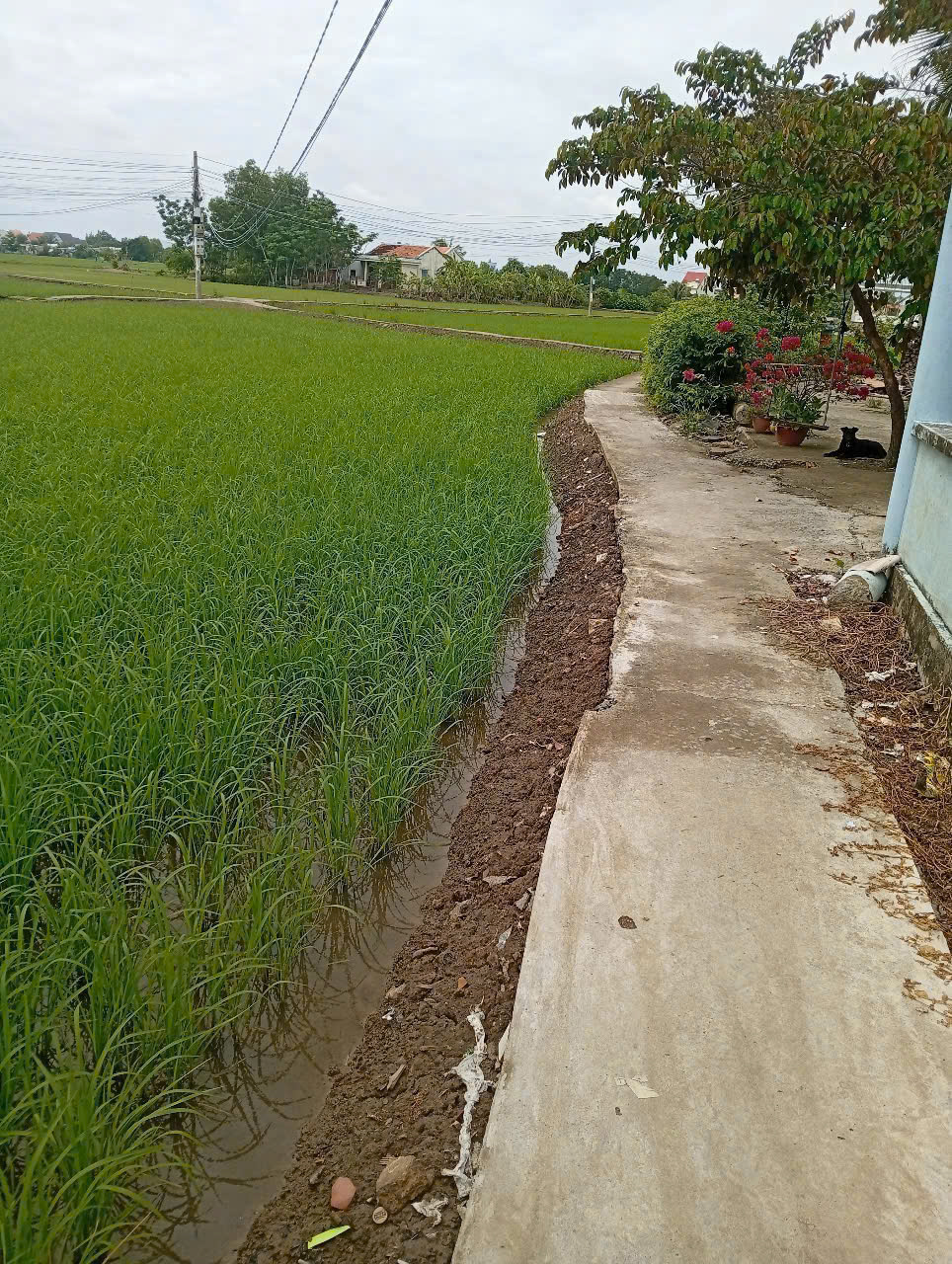 Đất vườn giá rẻ 500m2 mt xe máy xã Phước Đông 650tr