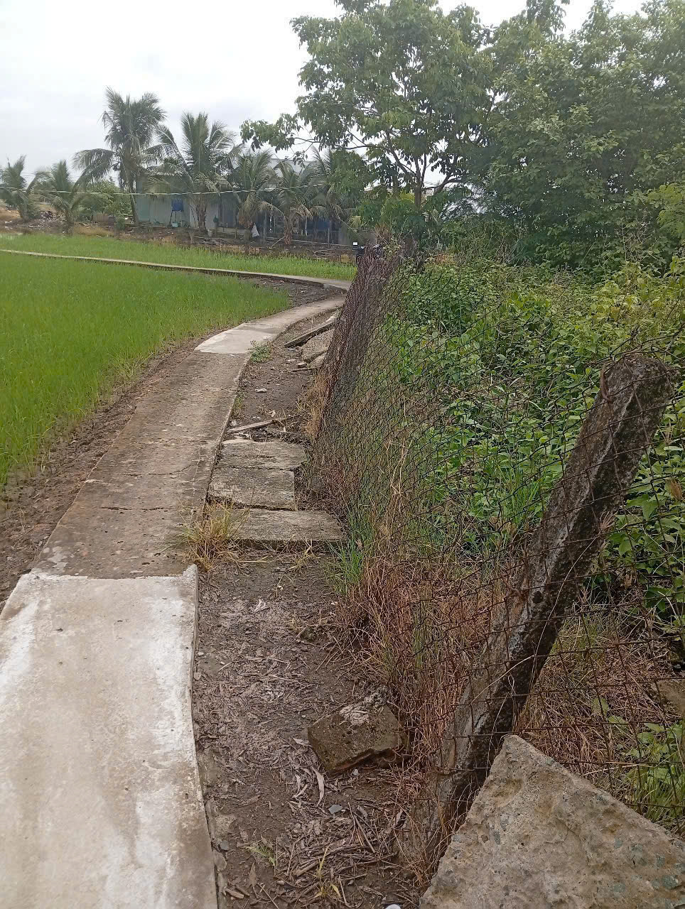 Đất vườn giá rẻ 500m2 mt xe máy xã Phước Đông 650tr 2