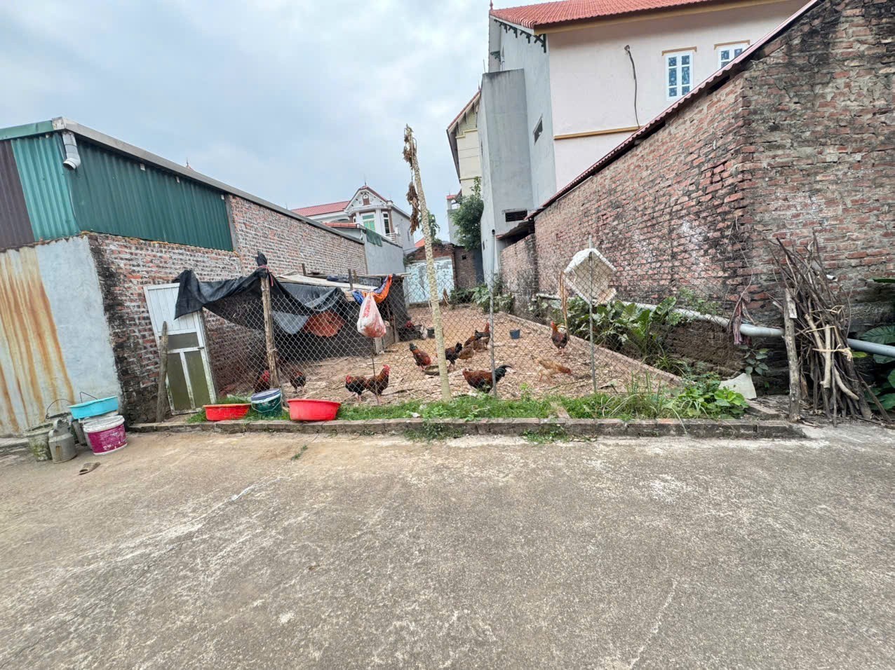 Bán nhanh 107m đất Hoàng Kim, Mê Linh. Ngay chân cầu Hồng Hà, đường Vành Đai 4 2